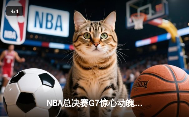NBA总决赛G7惊心动魄，丹佛掘金加时险胜迈阿密热火卫冕成功 - 4